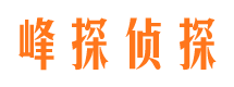 东川市侦探公司